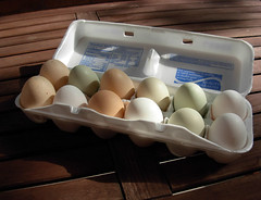 farmers market eggs