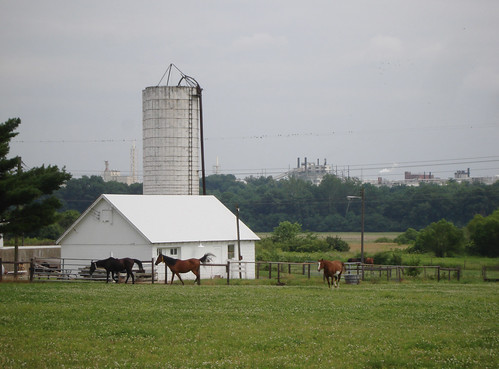 Purdue Horse Farm