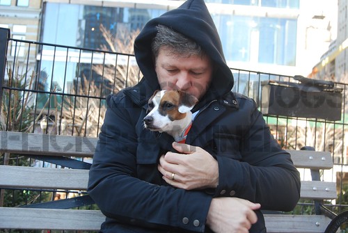 jack russell terrier. nyc dog. puppy