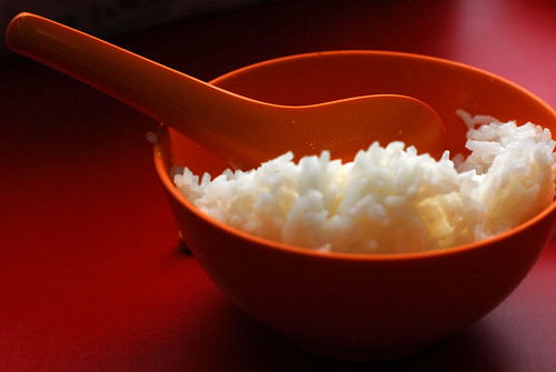 my bowl of rice - DSC_0229 copy