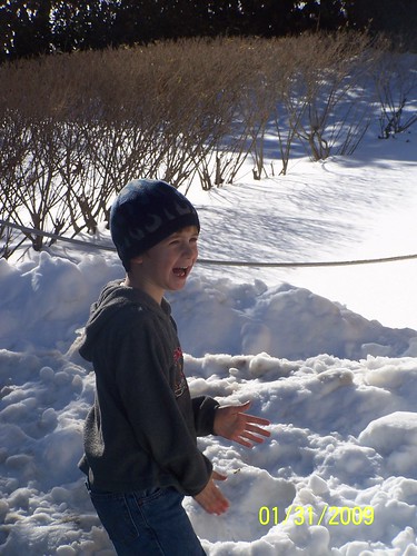 Throwing snowballs at the zoo