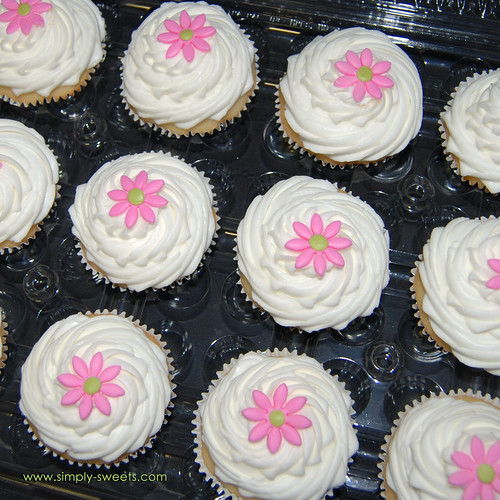 pink daisy cupcakes boxed