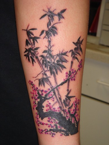 bamboo tattoo. Bamboo and Plum Blossoms