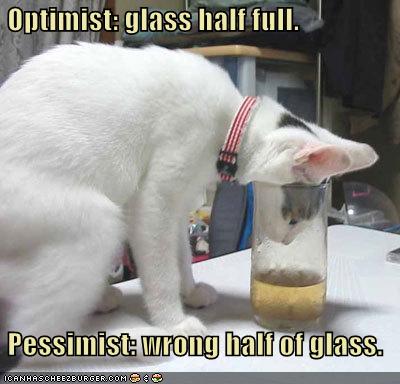 funny-pictures-cat-has-a-half-full-glass