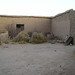 Afghan Compound