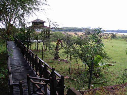 你拍攝的 17 Lake Naivasha Country Club。
