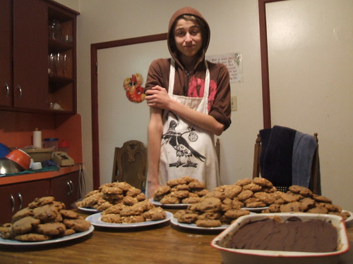 230 cookies1