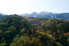 雪化粧の三峰山と紅葉
