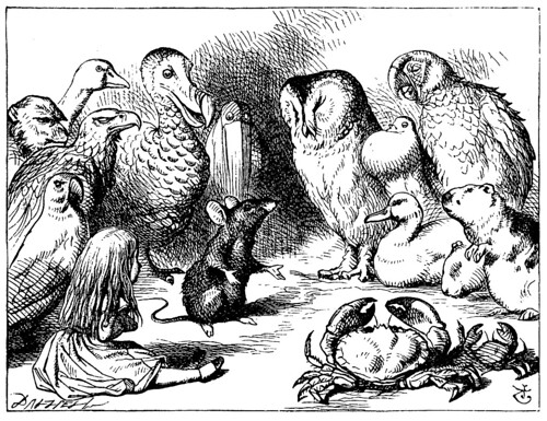 D- El raton le cuenta un cuento a Alicia-Edición 1866 –Tenniel