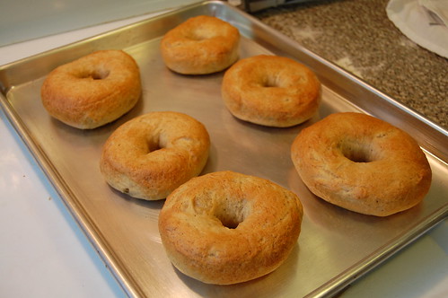 Bagels just out of the oven
