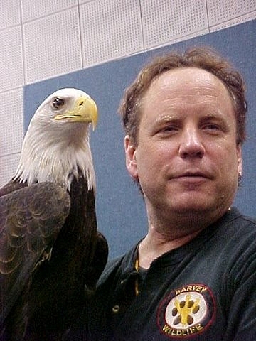 Pet Eagle 2
