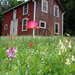 barn's meadow