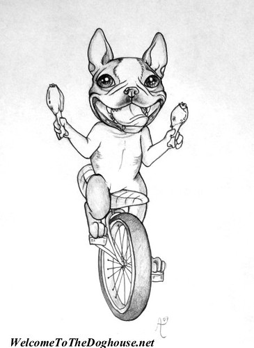 Boston Terrier Tattoo Design. This was one of the best tattoo commissions 
