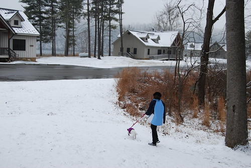 Winter time is great at the lodges and cabins at Claytor Lake State Park