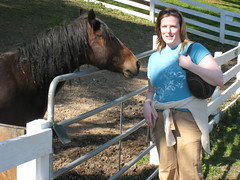Kelsey Creek Farm Horse
