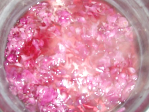 cookin' rose jelly
