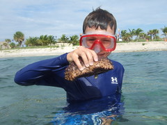 Andrew Discovers a Sea Cucumber!