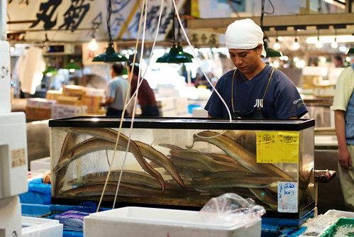 Tsukiji 06