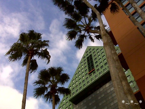 IMG00703-Walt-Disney-World-Dolphin-palm-trees-sky