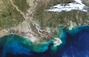 Satellite image of the northern Gulf of Mexico/Mississippi Delta showing deoxygenated (hypoxic) coastal water (light blue).