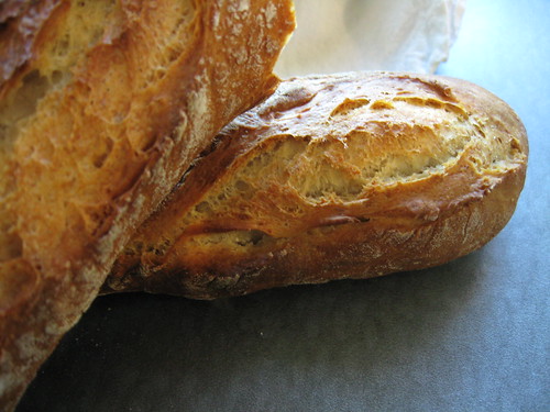 baguette with a new yeast from Hodson's Mill
