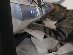 Maggie helping the printer