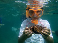 Lauren with a Chocolate Chip Sea Cucumber