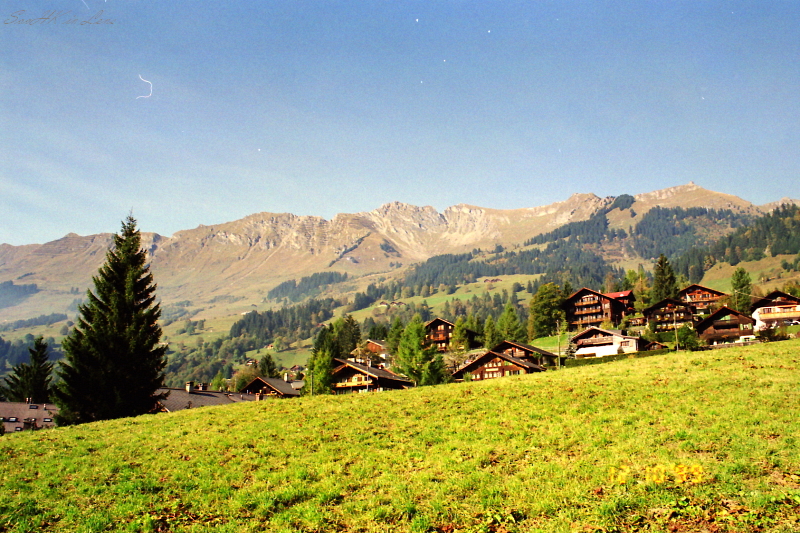Swiss in Year 99