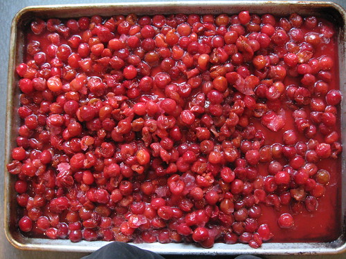 cherries, before