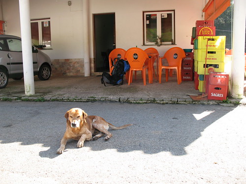 cão Tavares-Casa Pacheco-Romeiras