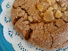 Ginger Cookie from Liz Lovely