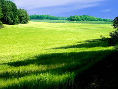 Landscape - Green  View, Halla