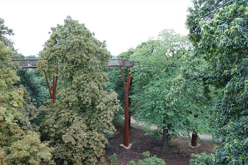 Treetop walkway on stilts