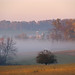 Amish Farm Misty Morning