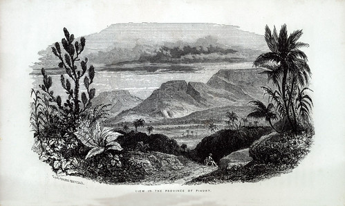 017- Vista de la provincia de Piauhy
