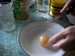 Eggsperiment