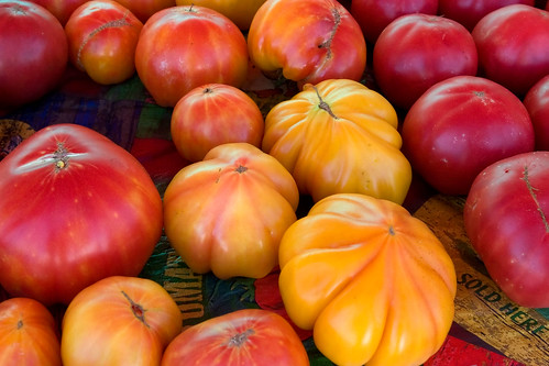 Growing Heirloom Tomatoes