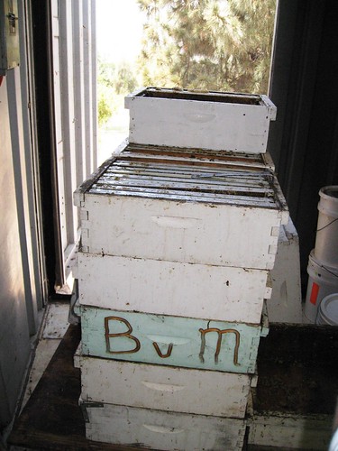 Tour of Bill's Bee Ranch