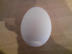 Awww my first eggy!