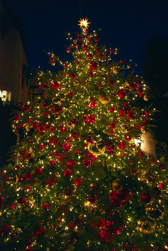 ジブリ美術館のクリスマスツリー