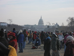 Milling on the Mall