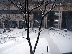 Video (Time Lapse) - Snow in Cambridge / Neve em Cambridge
