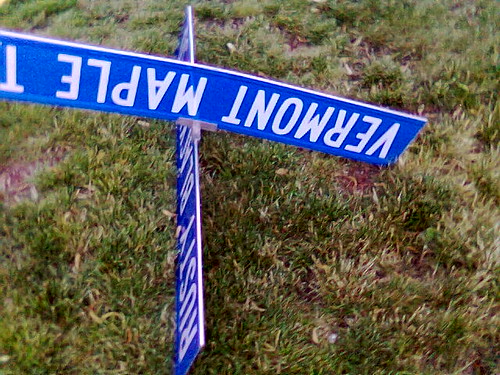 Fallen Street Sign