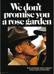 rosegarden25vn