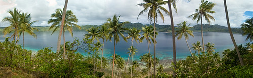 Palm Tree Bay