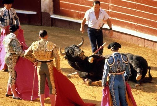 The World Society for the Protection of Animals (WSPA) Seeks to End  Bullfighting | Blogcritics