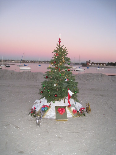 Christmas Tree on the Beach