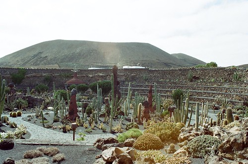 El Jardin de Cactus visto desde el molino