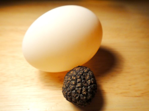 Egg, meet Truffle