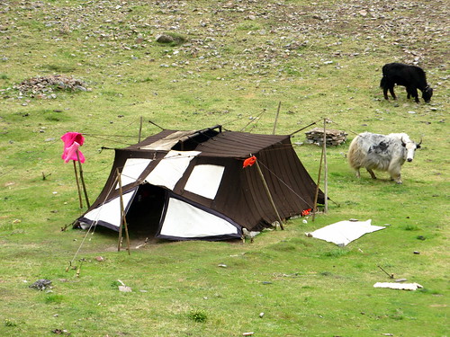 Tibetan summer dwelling near Erbou, Qinghai Province, China